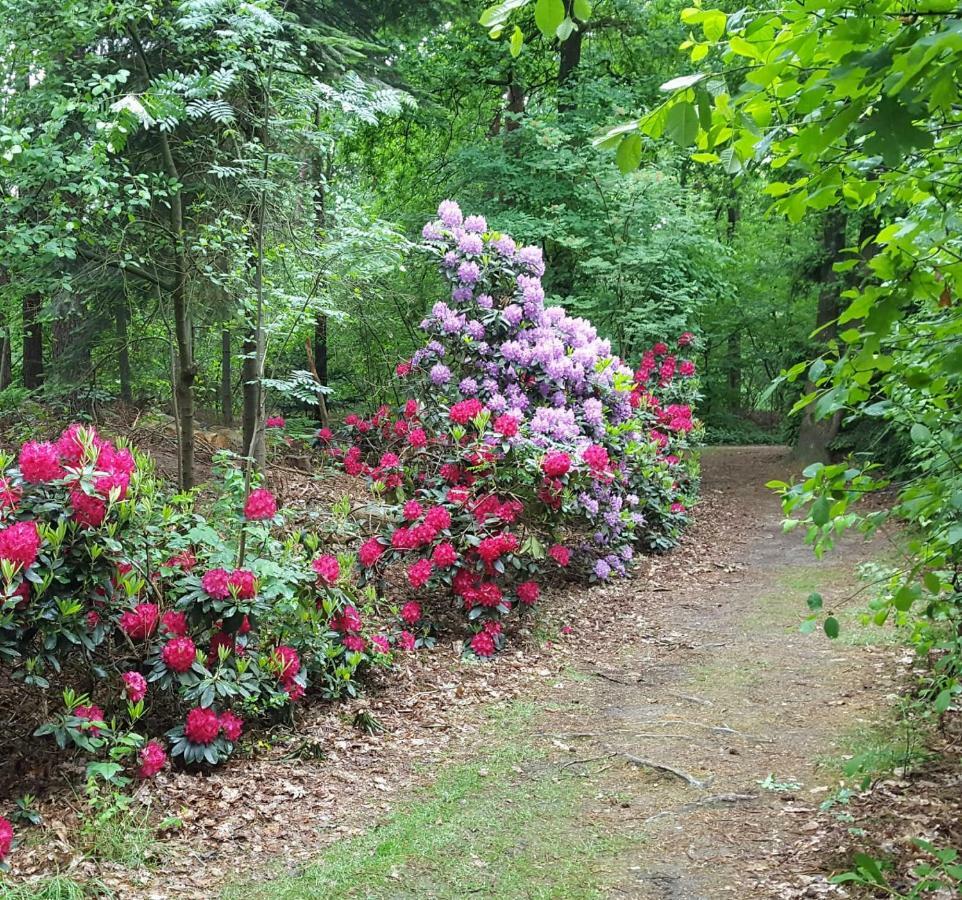 Veluwe Nature Home - 2 Persons Otterlo Εξωτερικό φωτογραφία